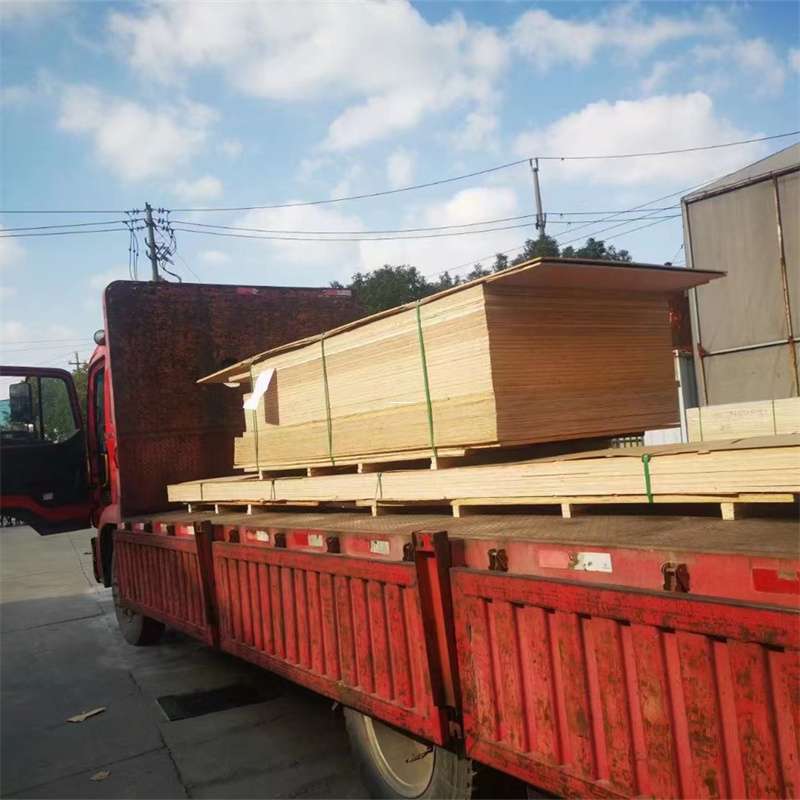 河南许昌许昌县至塔城货运专线，一站式物流服务助您成功